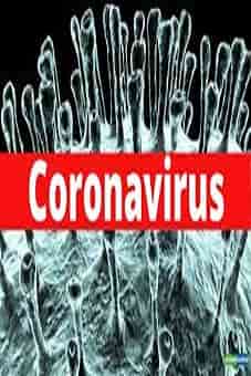 Documental Coronavirus 2020 HD